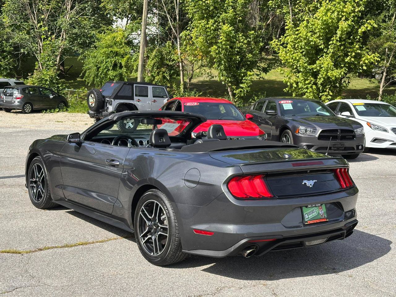 Used 2018 Ford Mustang Premium RWD image 7