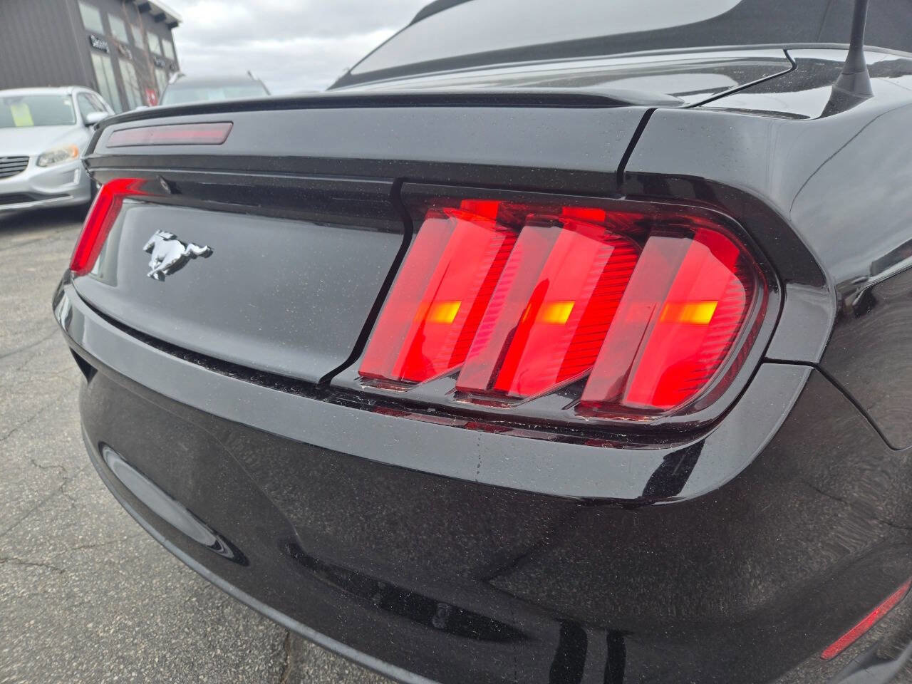 Used 2015 Ford Mustang Premium w/ Equipment Group 201A image 14