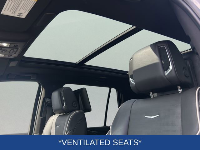 Used 2023 Cadillac Escalade Sport image 12