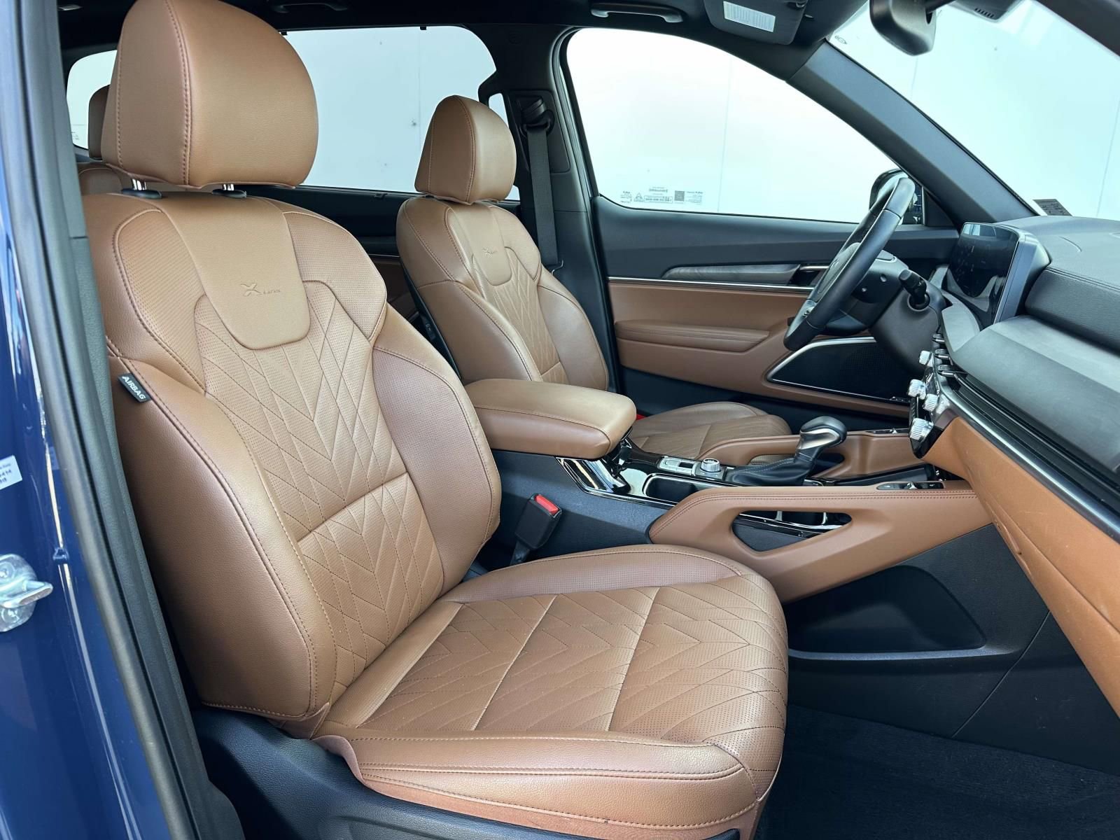 Used 2024 Kia Telluride SX X-Line image 10