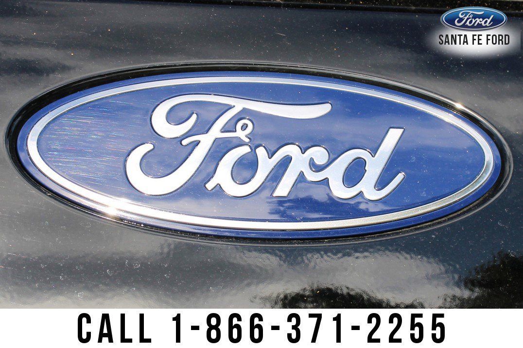 New 2025 Ford Expedition Active image 15