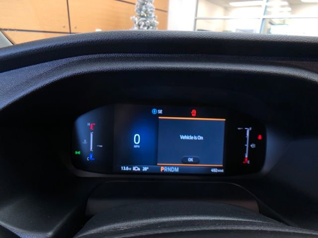 New 2026 Ford Transit 250 148 Medium Roof Extended AWD w/ Load Area Protection Package image 14