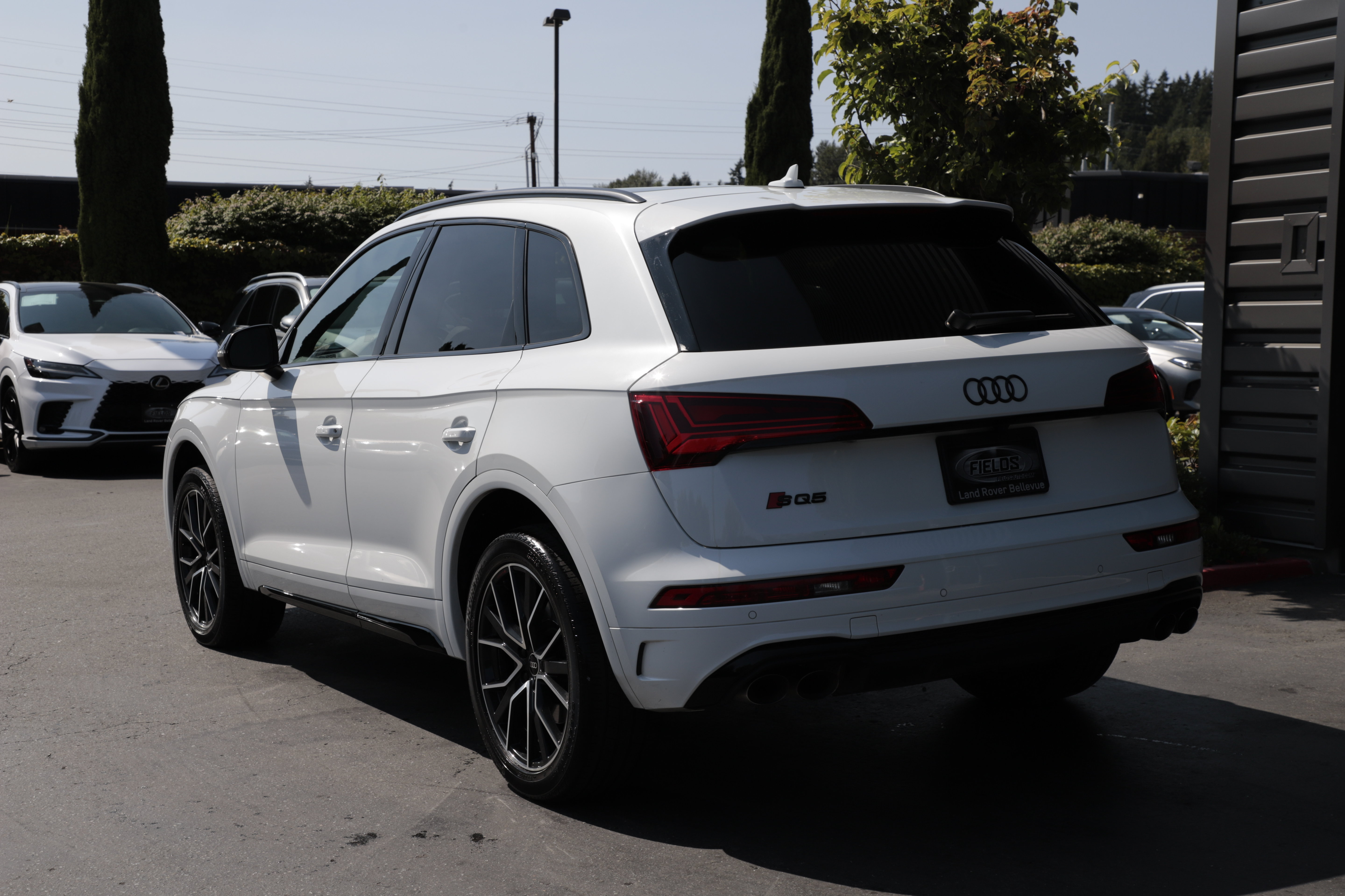 Used 2024 Audi SQ5 Premium Plus AWD/4WD image 4