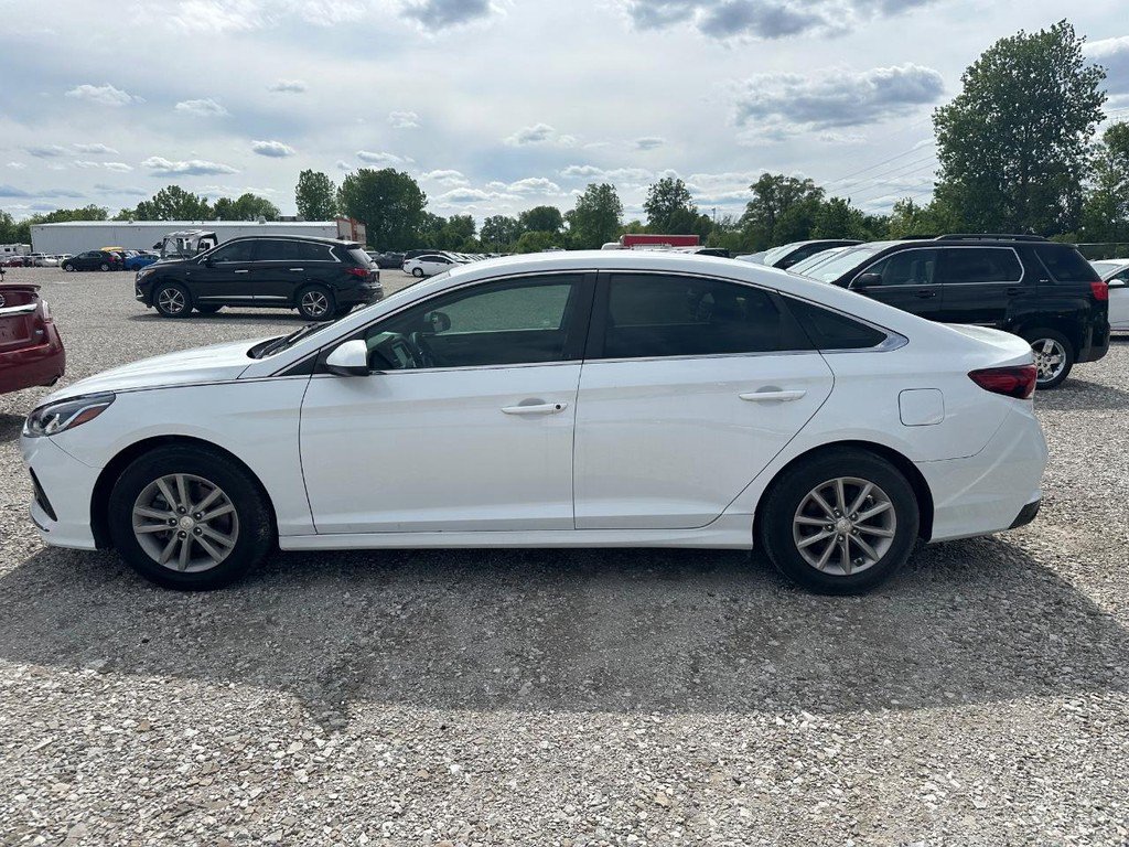 Used 2019 Hyundai Sonata SE FWD image 4