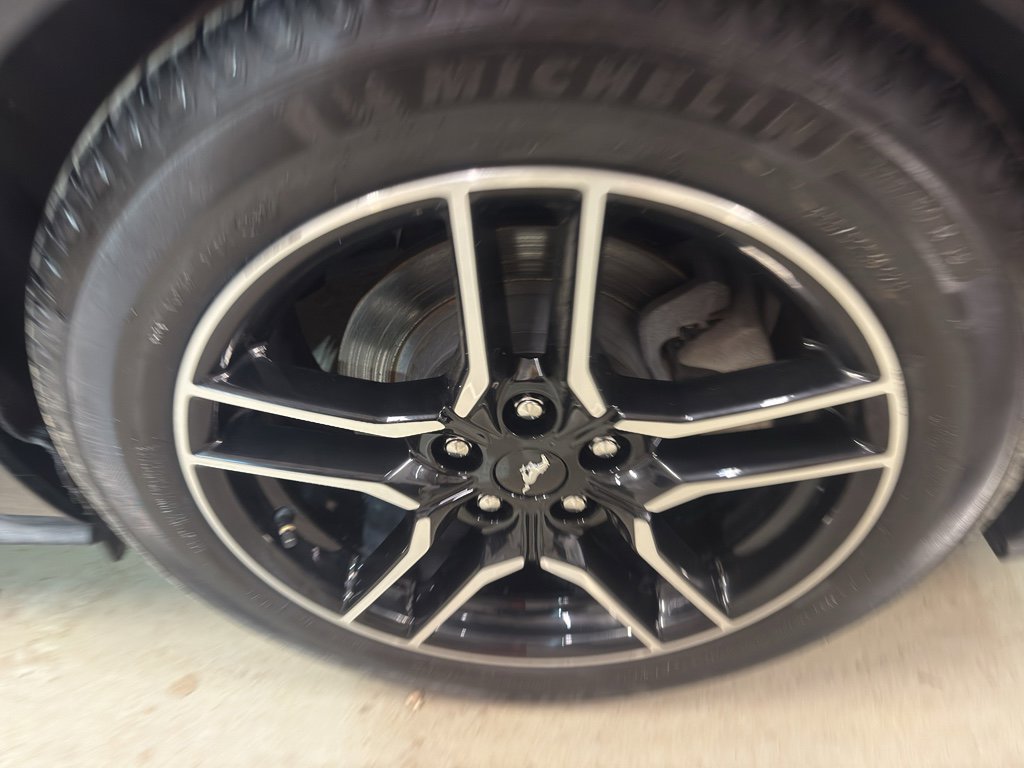 Used 2019 Ford Mustang Premium image 27