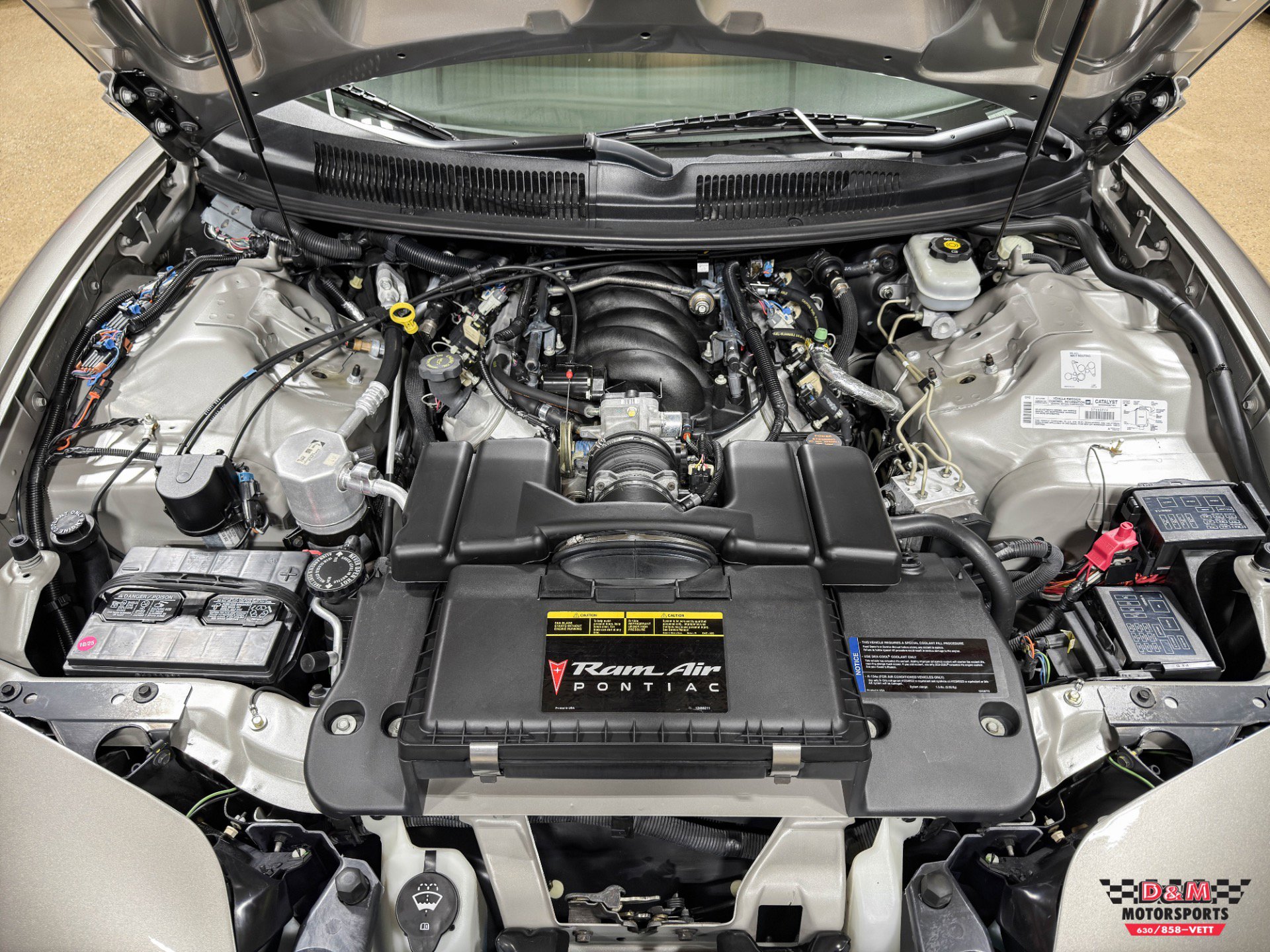 Used 2002 Pontiac Firebird Trans Am image 9