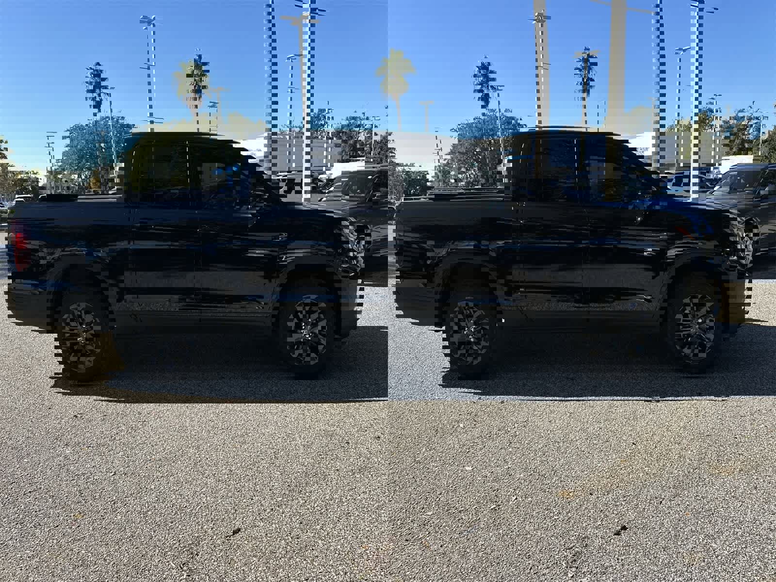 Used 2025 Honda Ridgeline Sport image 14