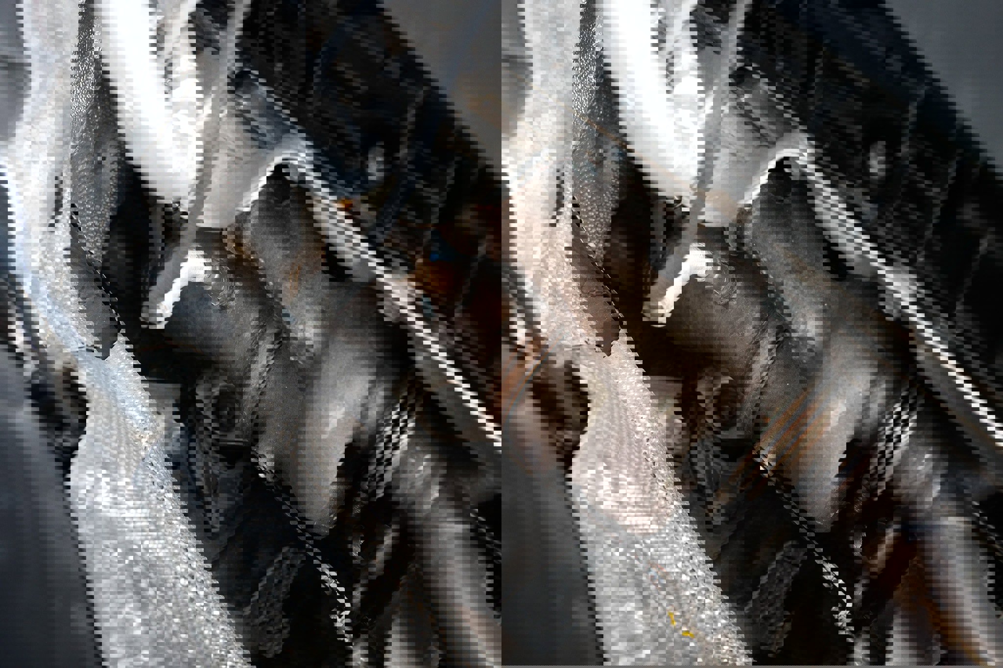 Used 2016 BMW 340i Sedan image 61