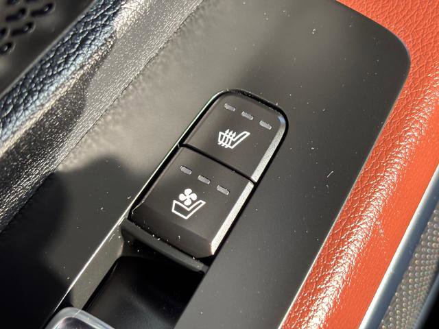 Used 2023 Kia Telluride SX Prestige image 24