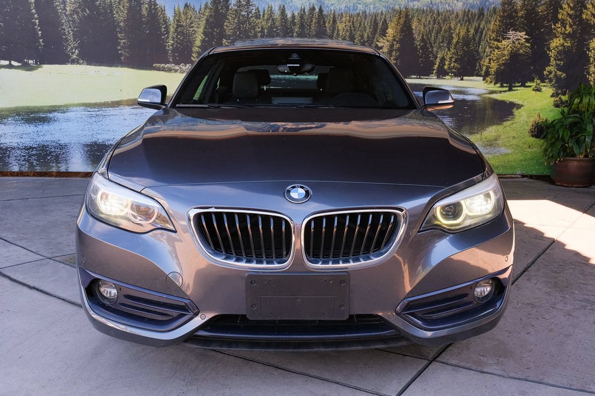 Used 2019 BMW 230i Coupe w/ Premium Package RWD image 2