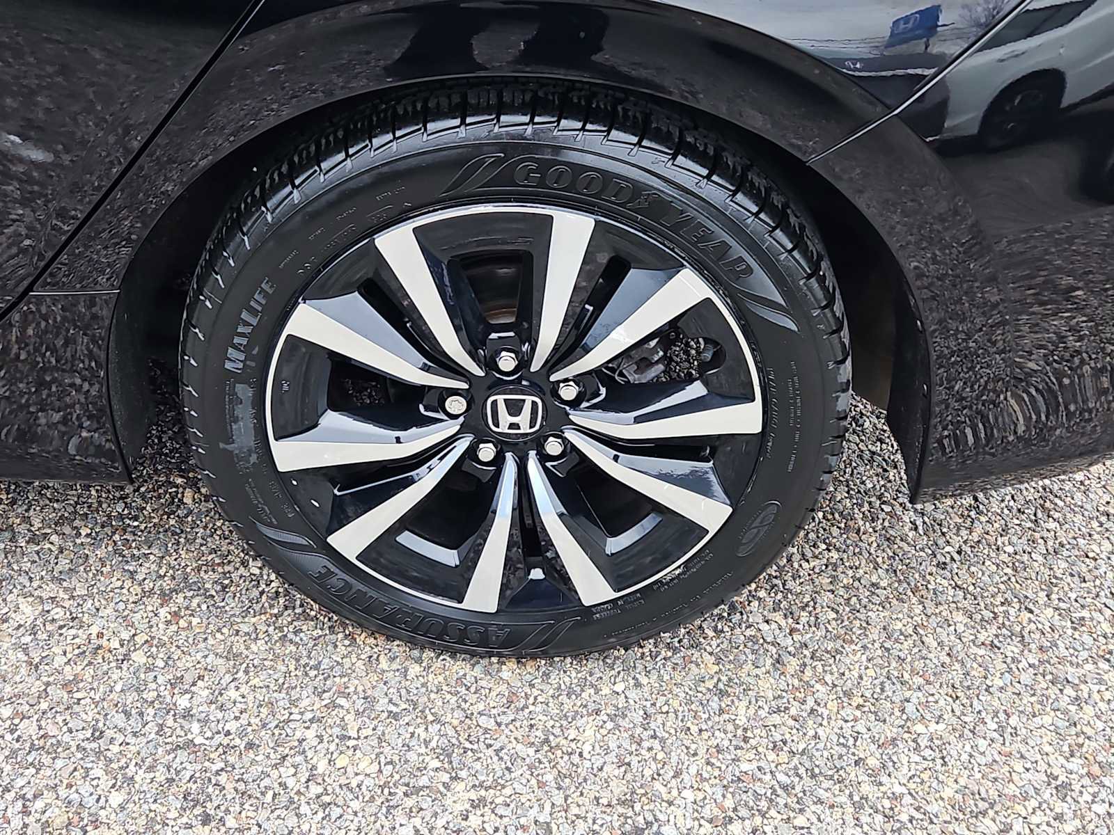 Certified 2023 Honda Civic EX-L image 8