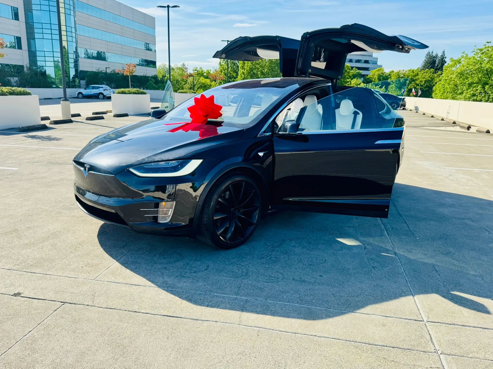 Used 2019 Tesla Model X 100D image 8