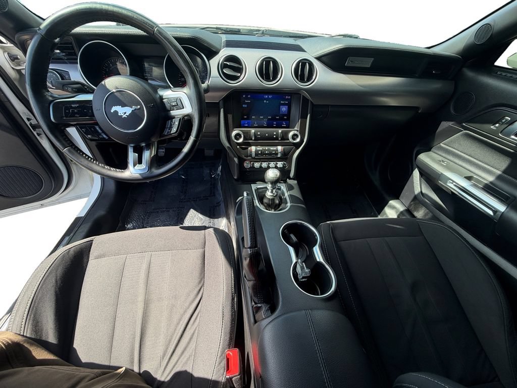 Used 2019 Ford Mustang GT w/ Equipment Group 301A RWD image 14