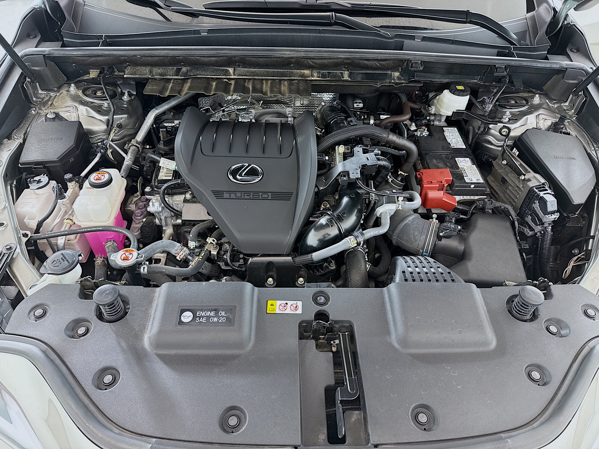 Certified 2024 Lexus NX 350 AWD image 28