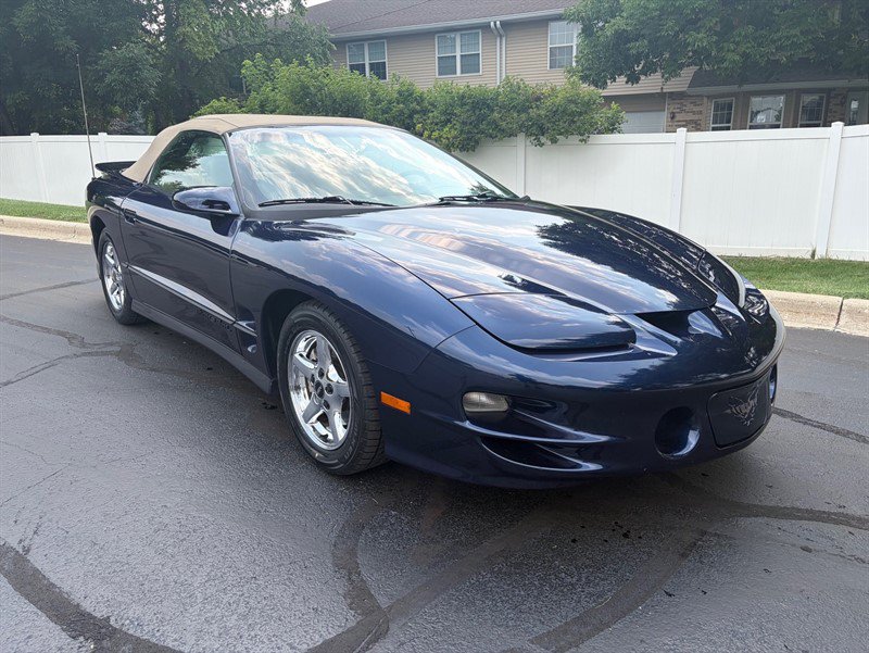 Used 2002 Pontiac Firebird Trans Am RWD image 4