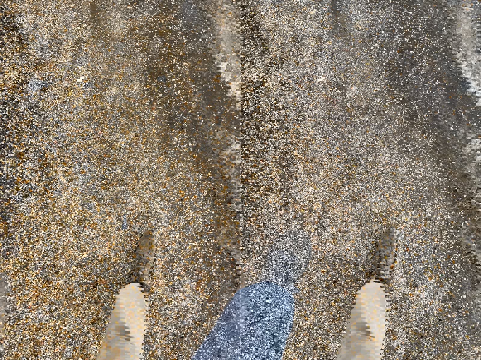 Used 2016 Chevrolet Silverado 1500 LT w/ All Star Edition image 5