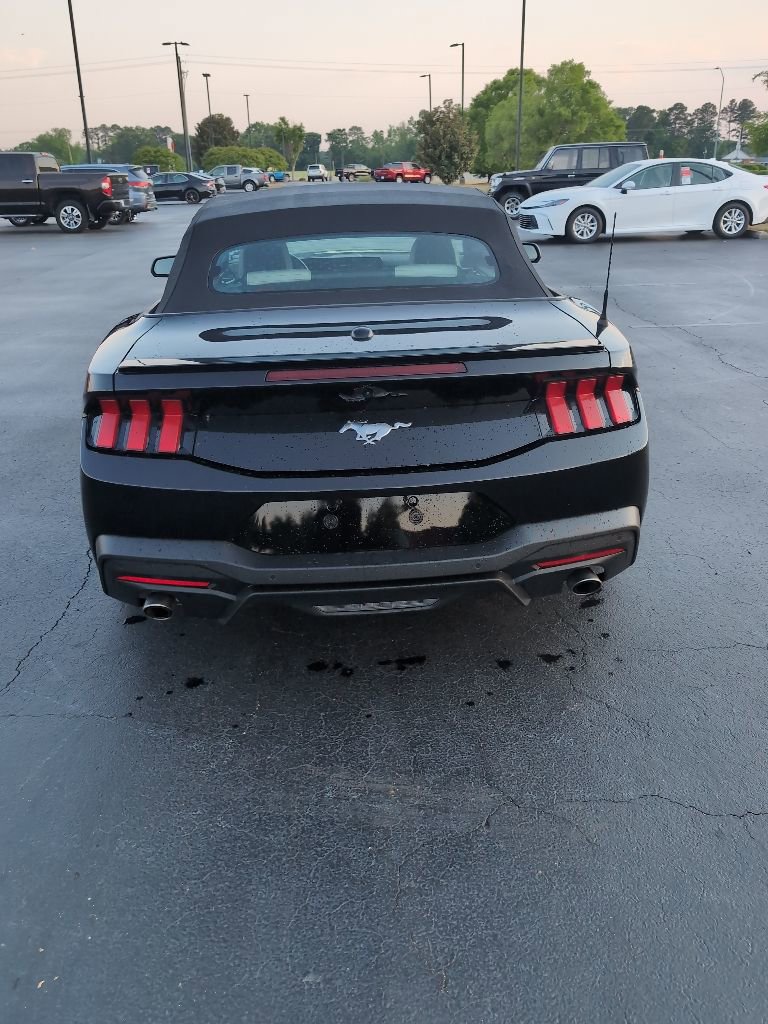 Used 2024 Ford Mustang Premium RWD image 4