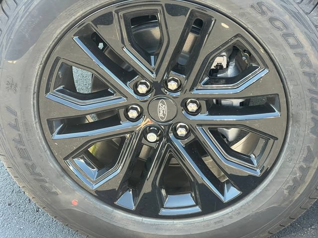 New 2026 Ford F150 XLT w/ Equipment Group 302A MID AWD/4WD image 10