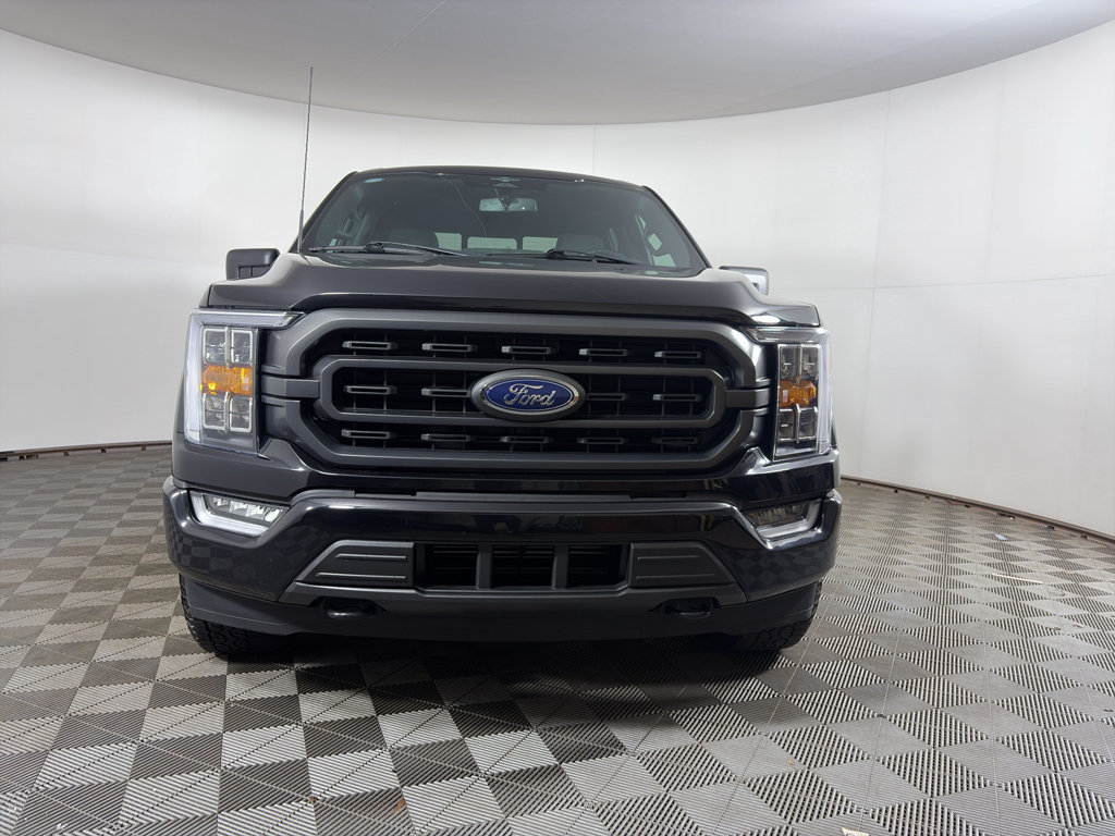 Used 2023 Ford F150 XLT w/ Equipment Group 302A High AWD/4WD image 6