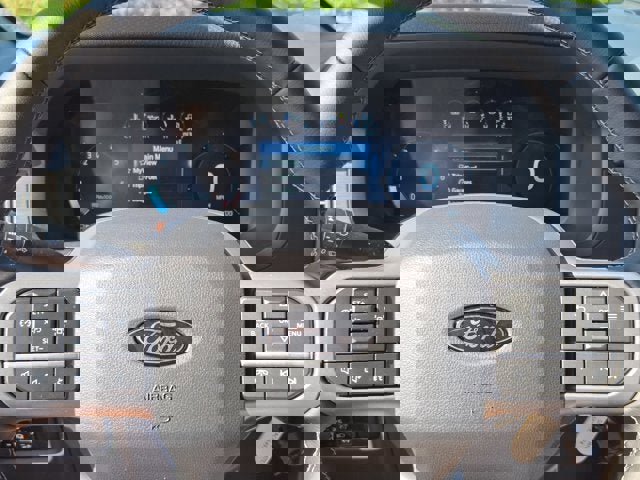 New 2025 Ford F150 XLT w/ Equipment Group 301A Standard image 64