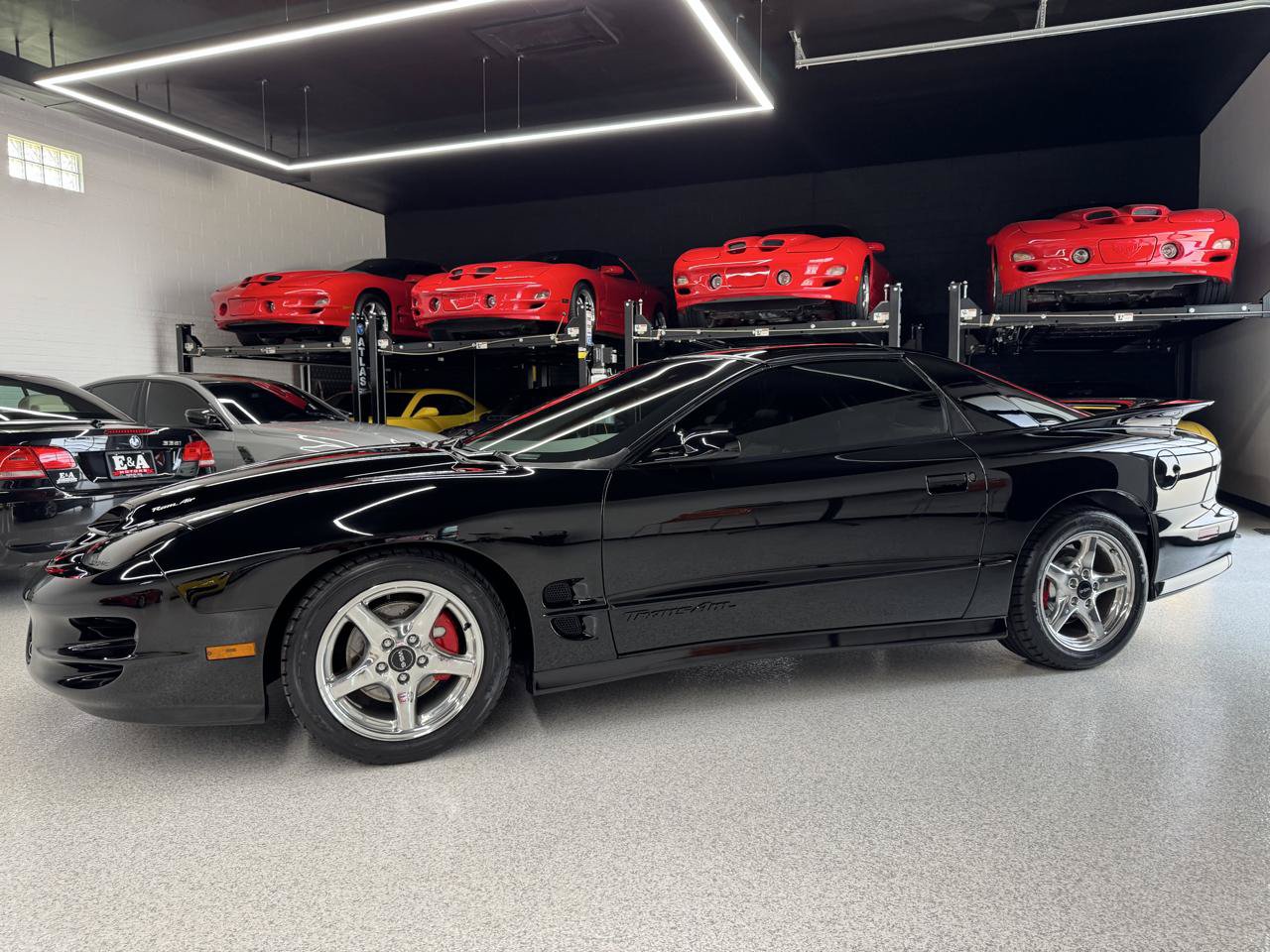 Used 2001 Pontiac Firebird Trans Am w/ SLP Firehawk Pkg RWD image 7