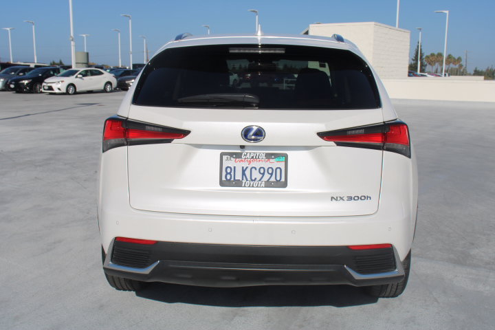 Used 2020 Lexus NX 300h AWD w/ Premium Package image 4