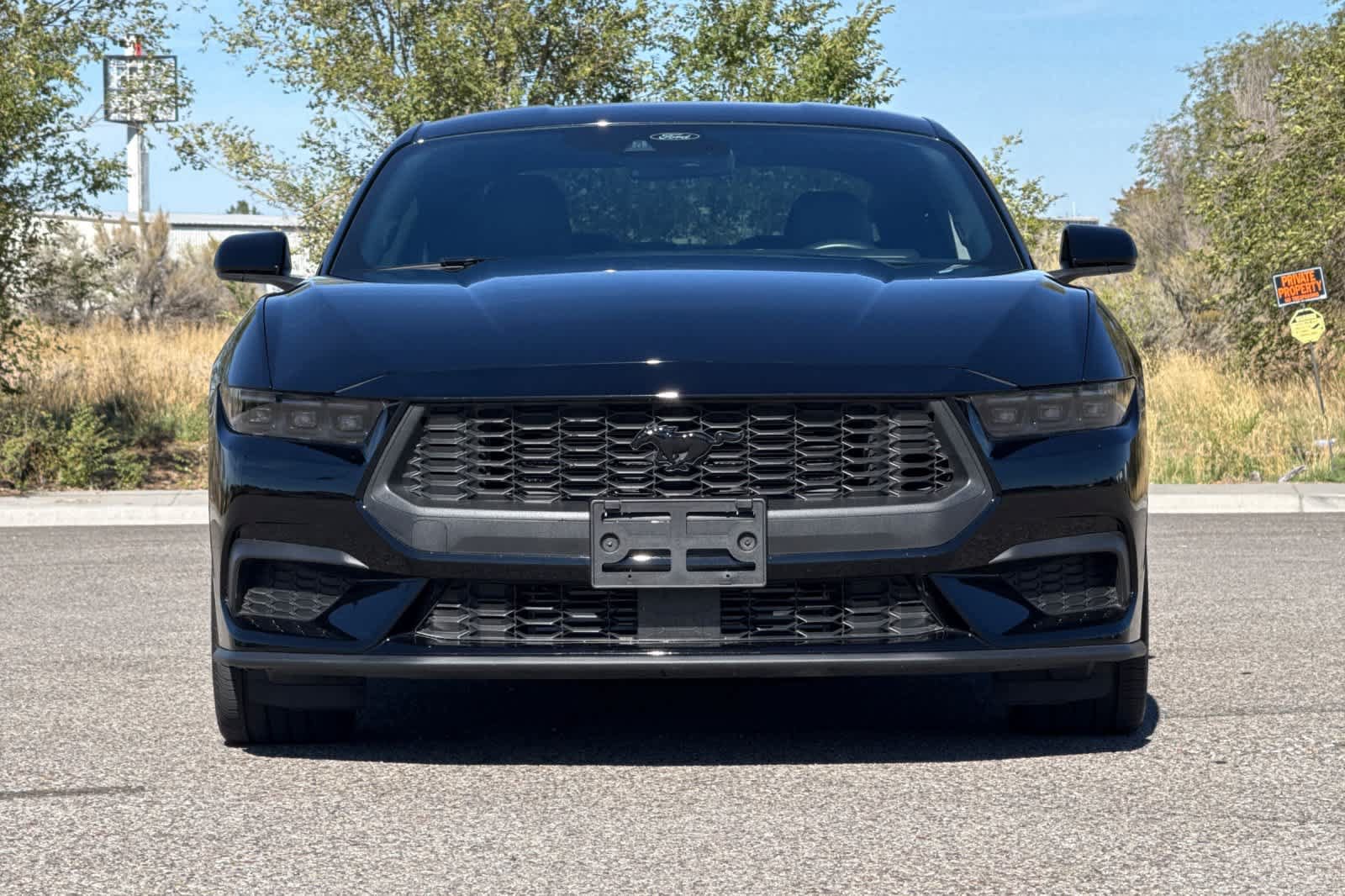 Certified 2024 Ford Mustang Premium w/ Mustang Nite Pony Package RWD image 10