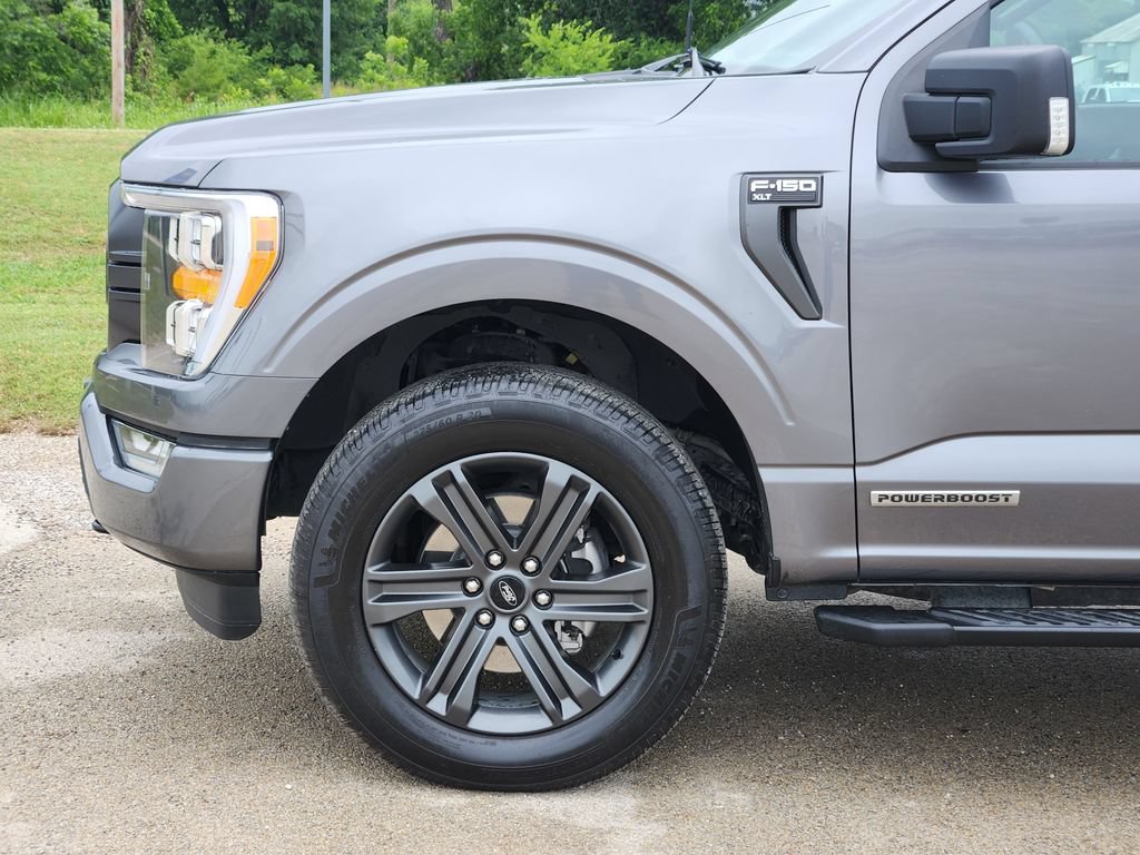 Used 2023 Ford F150 XLT w/ Equipment Group 302A High AWD/4WD image 8