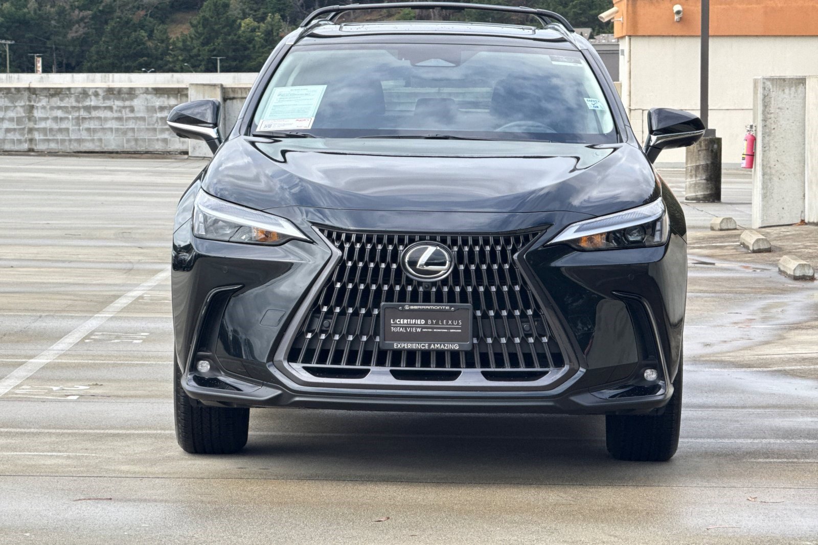 Certified 2025 Lexus NX 350h AWD w/ Accessory Package (2T) image 6