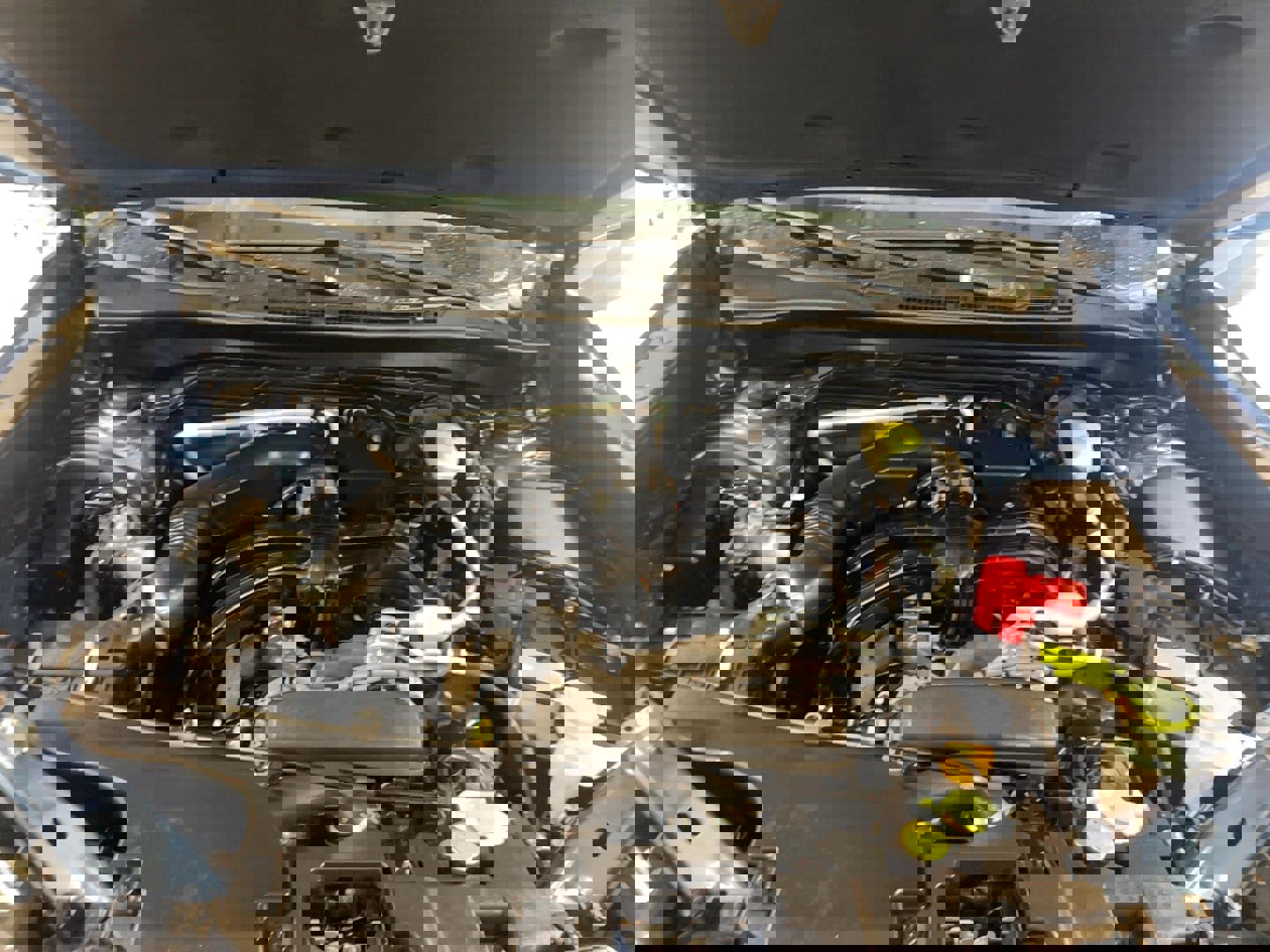 Used 2025 Subaru Forester image 23