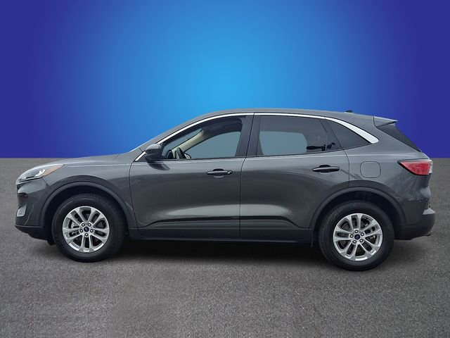 Used 2020 Ford Escape SE image 7