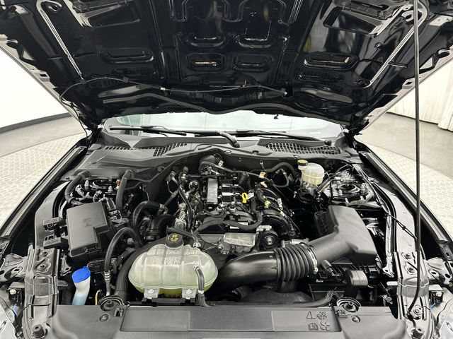 Used 2022 Ford Mustang Coupe RWD image 24