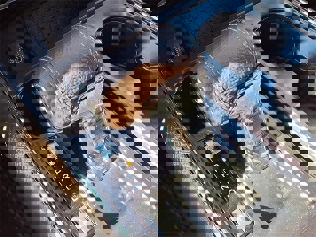 New 2025 Ford F150 King Ranch image 15