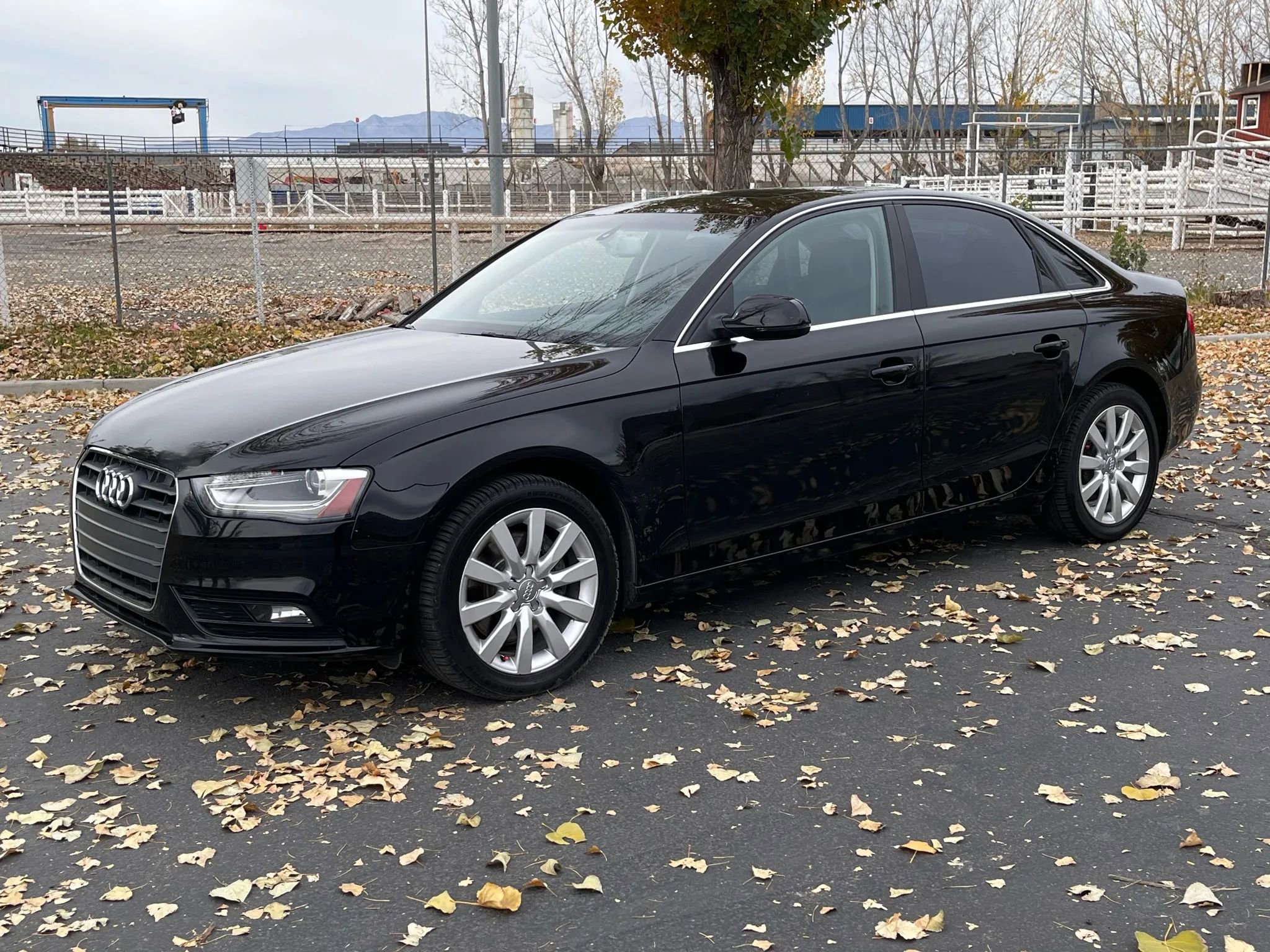 Used 2013 Audi A4 2.0T Premium w/ Convenience Pkg image 3