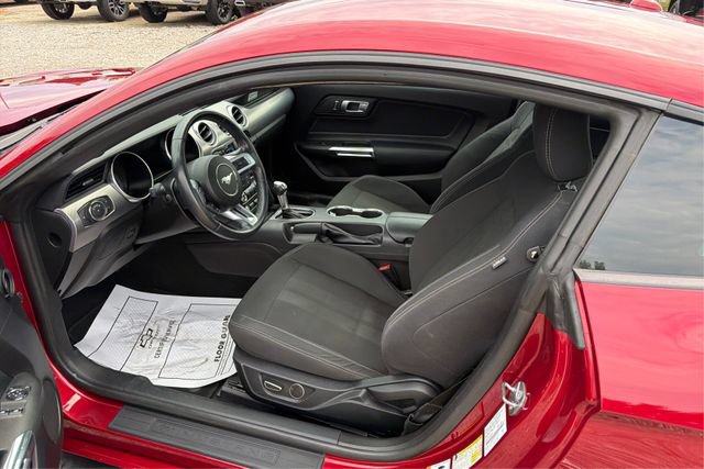 Used 2019 Ford Mustang GT RWD image 9