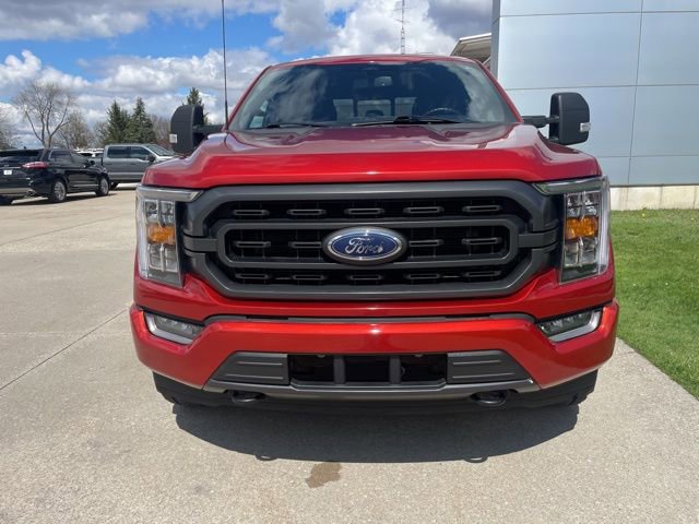 Used 2023 Ford F150 XLT w/ Equipment Group 302A High image 6