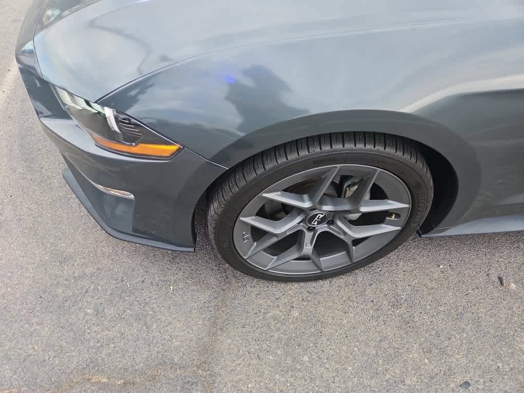 Used 2019 Ford Mustang Coupe w/ Equipment Group 101A RWD image 3