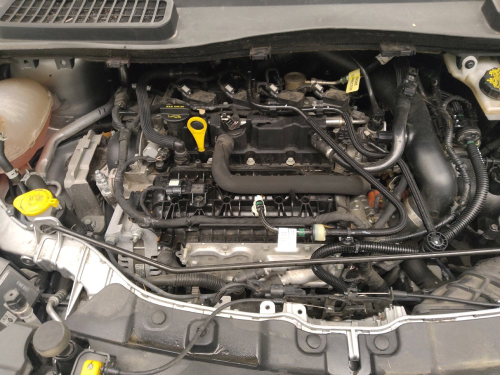 Used 2019 Ford Escape SEL AWD/4WD image 30