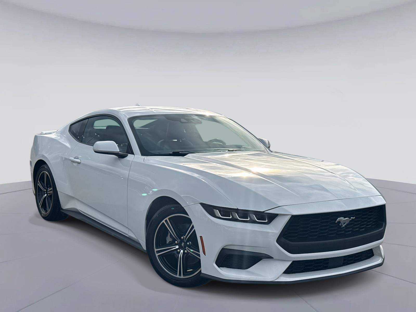 Used 2024 Ford Mustang Premium image 2