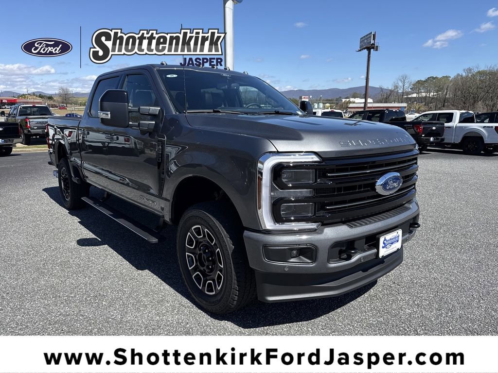 Used 2025 Ford F250 Platinum image 1