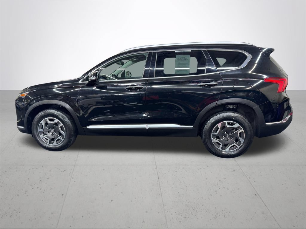 Used 2023 Hyundai Santa Fe Blue AWD/4WD image 3