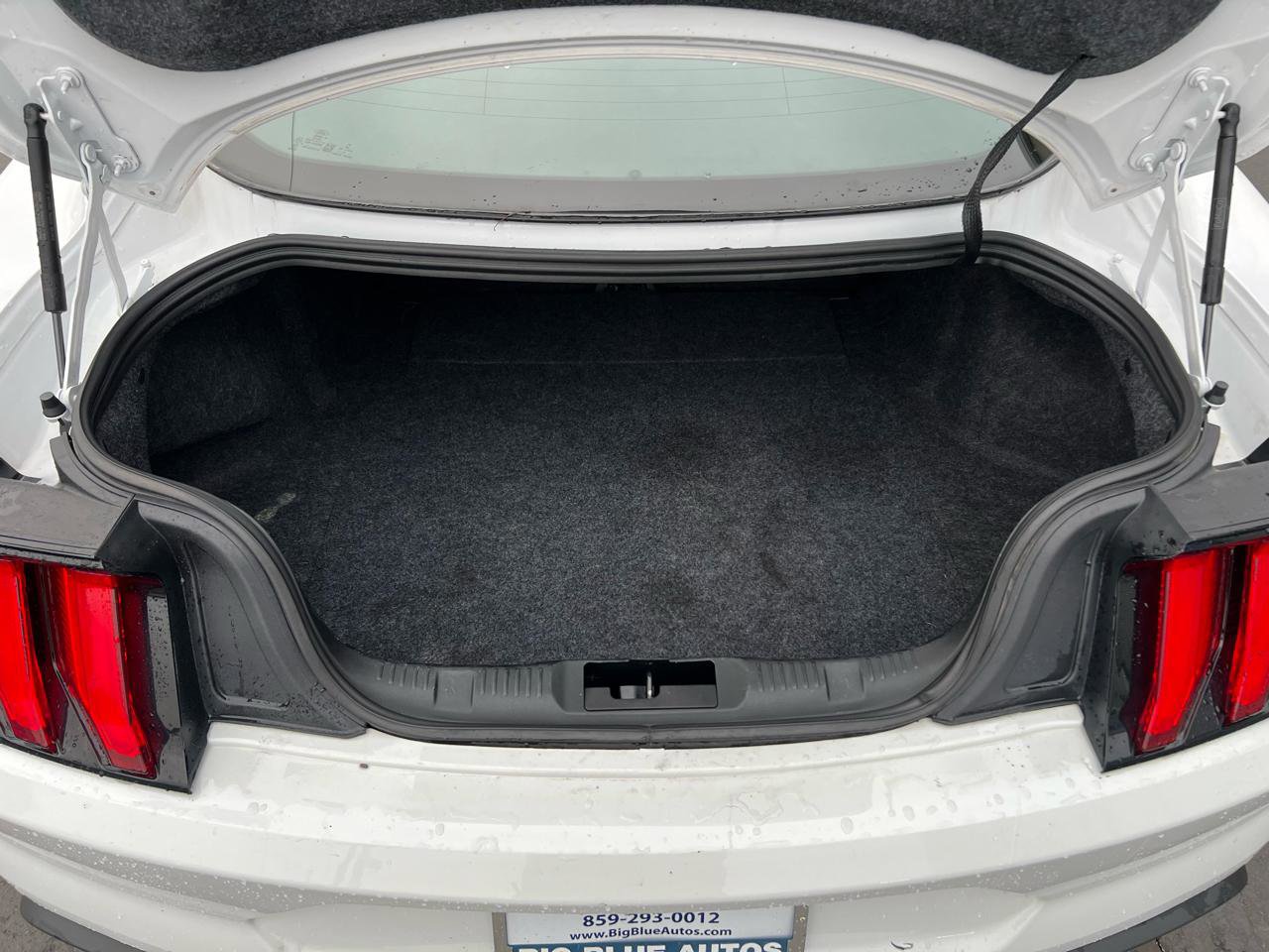 Used 2019 Ford Mustang Premium image 13