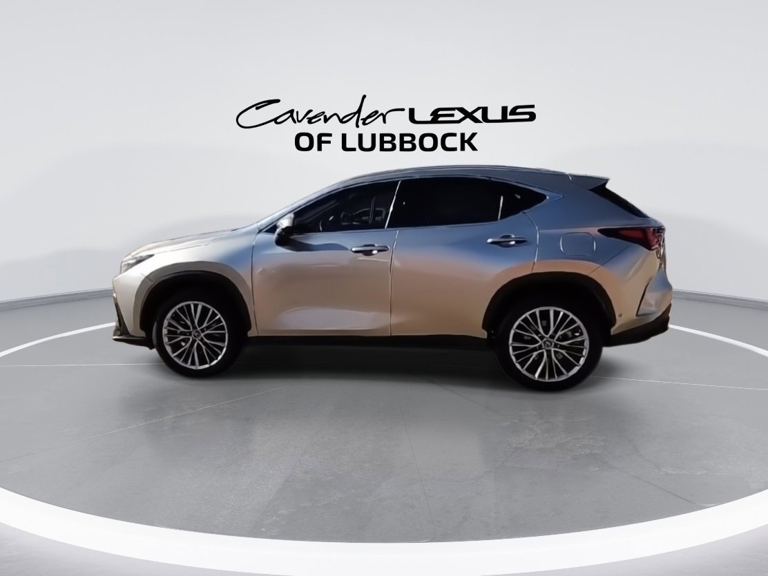 Used 2022 Lexus NX 350h AWD w/ Vision Package image 6