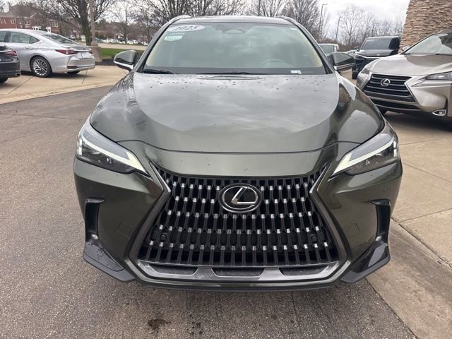 Used 2025 Lexus NX 250 FWD w/ Accessory Package (K3) image 10