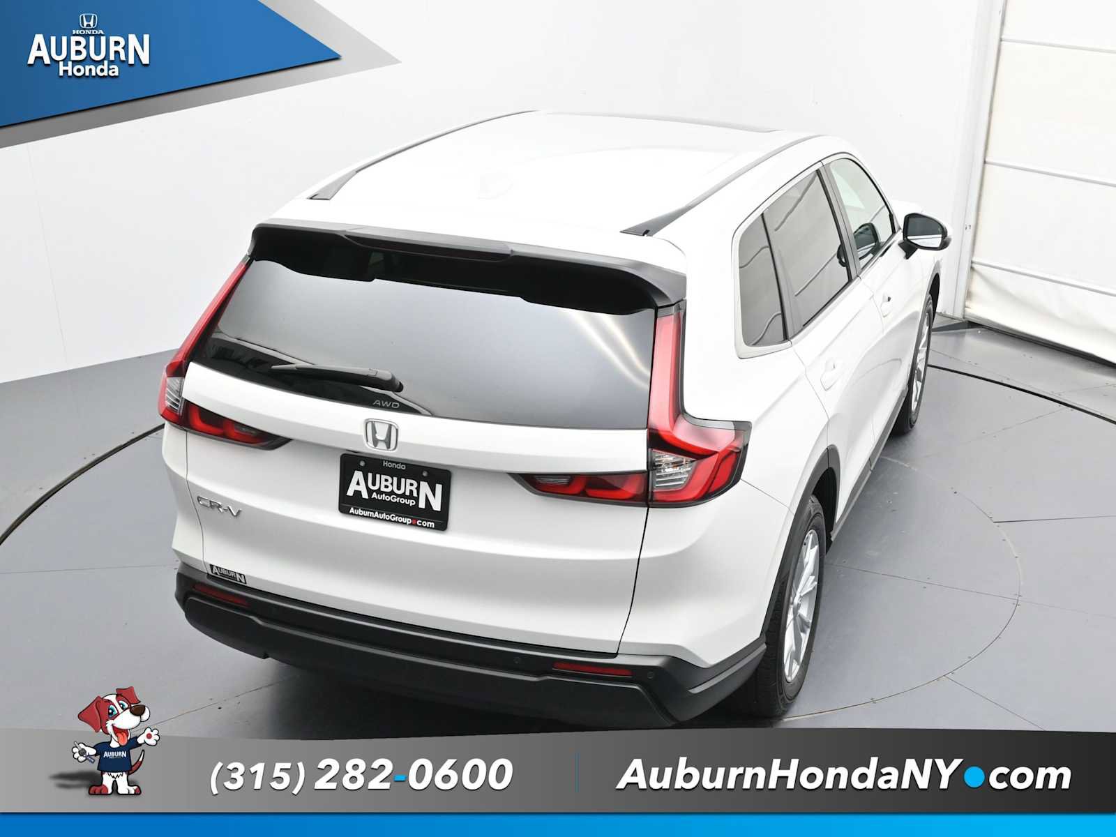 Used 2025 Honda CR-V EX-L image 26