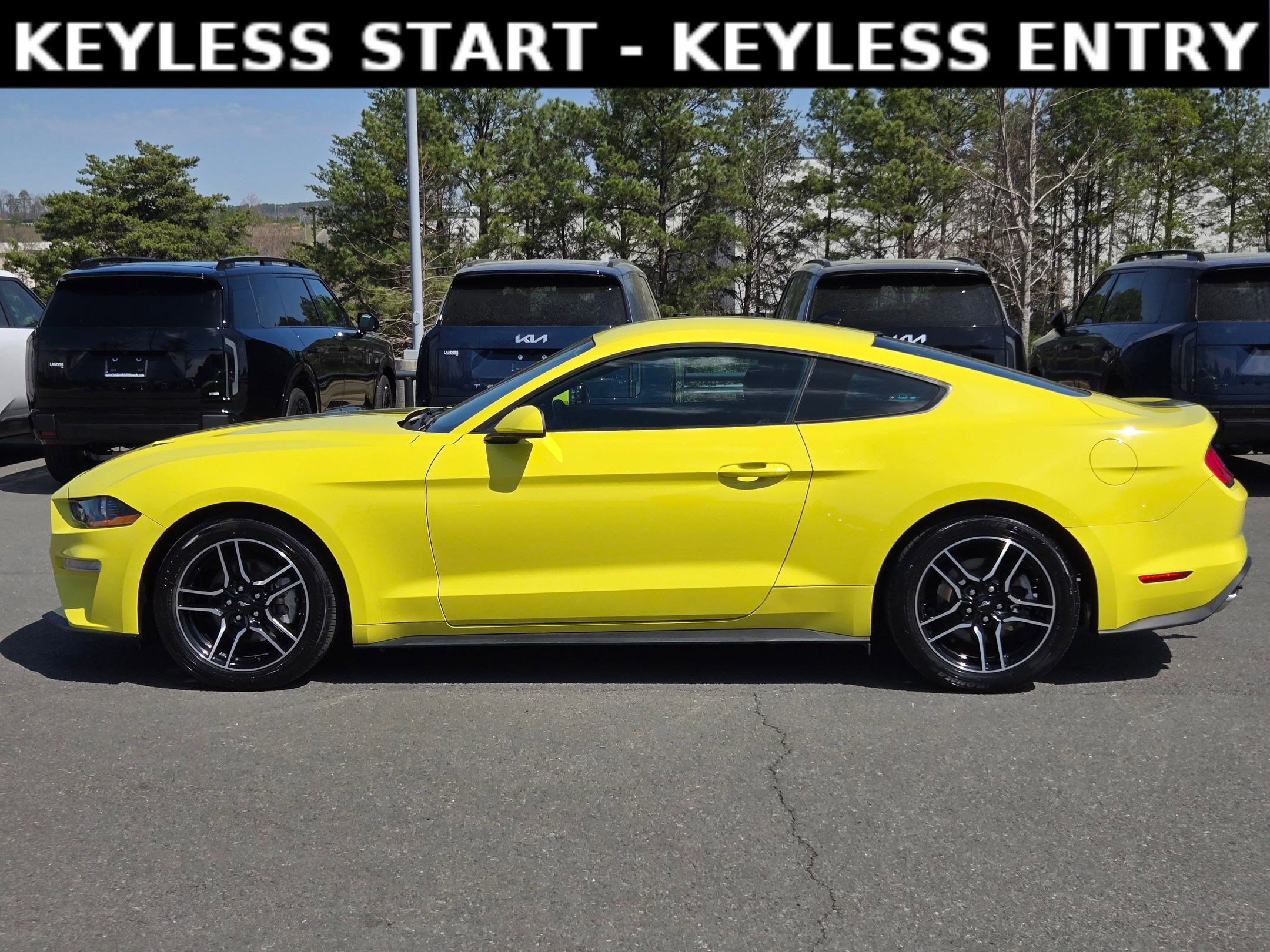 Used 2021 Ford Mustang Coupe w/ Equipment Group 101A image 4