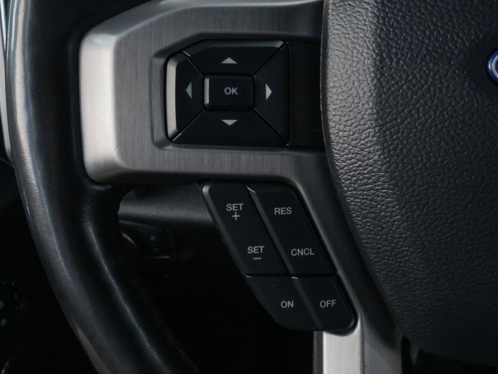 Used 2019 Ford F150 Platinum image 24