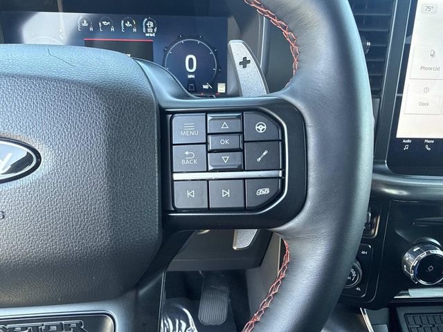 Used 2025 Ford F150 Raptor image 25