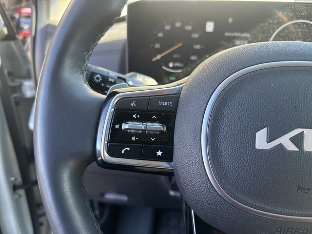Used 2025 Kia Carnival SX Prestige image 24