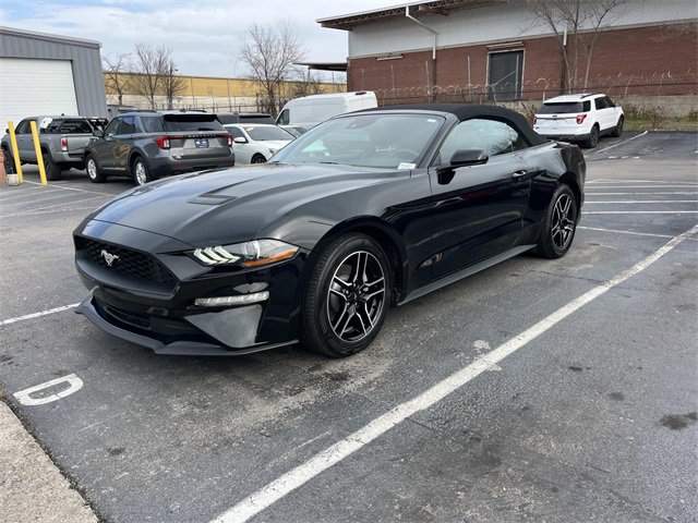 Certified 2023 Ford Mustang Premium image 7